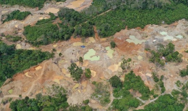 Walhi : 5.000 Hektar Hutan Aceh Rusak Akibat Tambang Emas Ilegal