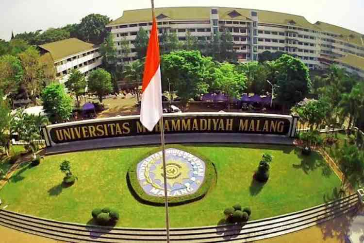 Mahasiswa UMM Temukan Obat Asam Urat pada Kulit Kacang Tanah